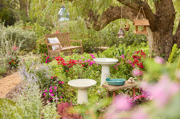 https://az.prshots.de/contents/archives/3552/1530/images/thumb350x287_auto/dobbies-garden-centres_somerset-bench-gbp199_thumb.jpg