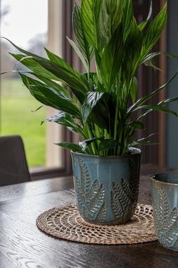 KEW EMBOSSED FERN TEAL PLANTER H21cm D23cm &pound;39.99