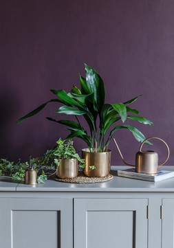 KEW MATT BRASS PLANT MISTER &pound;24.99, KEW MATT BRASS WATERING CAN &pound;44.99 & KEW MATT BRASS HANGING PLANTER SMALL WITH HOOK &pound;27.99 - &pound;39.99