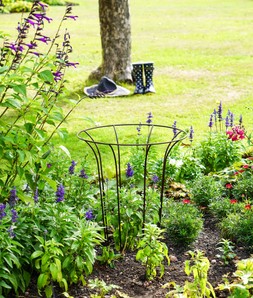 OUTDOOR FLUTED CLIMBER BRONZE H55CM W40CM &pound;34.99