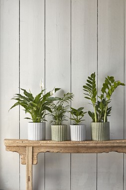 Azalea Stone Ribbed Speckle Grey Planter H20cm D20.5cm &pound;22.99
