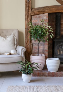 Beatrice White Planter H24cm D24cm &pound;29.99