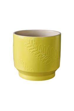 Botanist Lime Leaf Embossed Planter &pound;9.99, H15cm D17cm &pound;14.99, H17cm D18cm &pound;19.99
