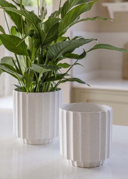 Bourton Ivory Scalloped Planter H16cm D16cm &pound;19.99 1