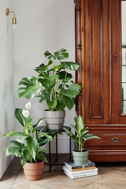 BOSTON TIERED PLANTERS