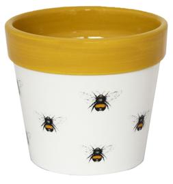 Cacti Planter Bumble Bee H7cm D7cm &pound;4.99, H10cm D10cm &pound;6.99, 13cm D13cm &pound;8.99