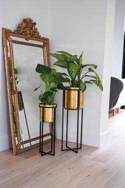 Calla Planter Stand Black-Antique Gold H58cm D22cm &pound;89.99