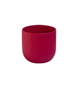 Cyclamen Planter Pink 15cm &pound;3.99