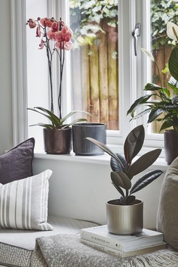 DENVER PLANTER IN WALNUT AND PEWTER £5.99 TO £9.99