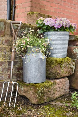 GALVANISED MILK CHURN 42CM &pound;34.99