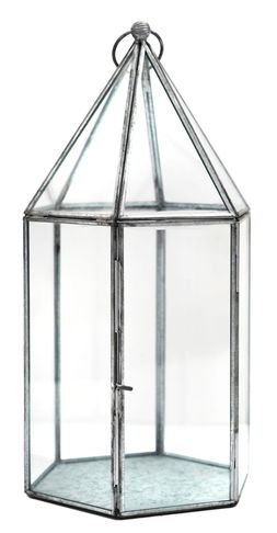 GLASSHOUSE TERRARIUM GALVANISED