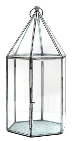 GLASSHOUSE TERRARIUM GALVANISED H36CM W18CM &pound;49.99