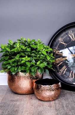 Hammered Bowl Black:Copper &pound;39.99 5