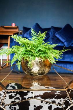 Hammered Bowl Gold:Black 19cm &pound;39.99