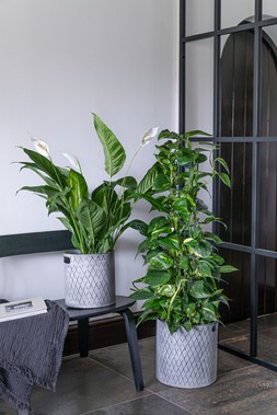 INDOOR ZINC PLANTER H28CM W28CM