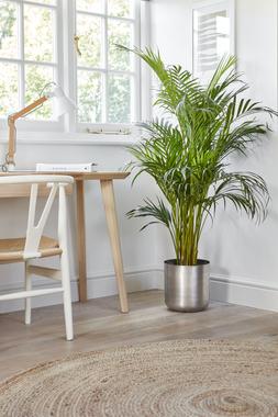 Indoor Chelsea Pewter Planter H26cm D25cm &pound;49.99 1