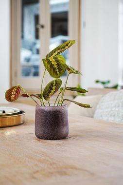 KEW DAMSON CRACKLE GLASS PLANTER SMALL 11CM &pound;13.99