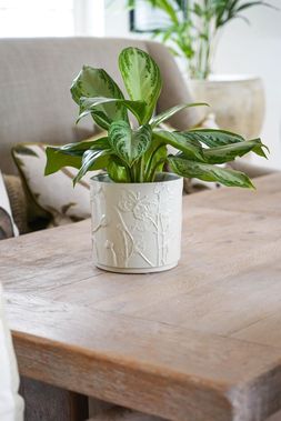 KEW STONEWARE MEADOW PLANTER IVORY 24CM &pound;64.99