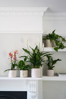 Lazzaro Navy Garland Planter H13cm D15cm &pound;11.99 1
