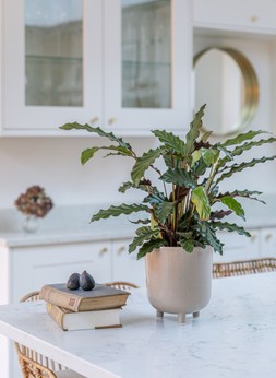 Lecce Oat Speckled Planter H19cm D16cm &pound;29.99