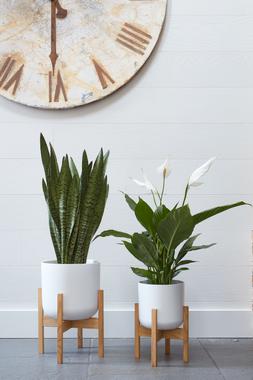 Lisbon Pot And Stand White D20.5cm &pound;39.99