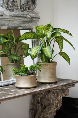 Luxe Bowl White Gold H14cm D24cm &pound;24.99,Luxe Planter White Gold H28cm D28cm &pound;39.99