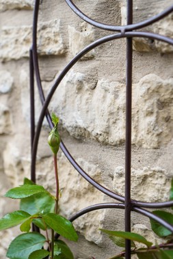 OUTDOOR CYLINDER TRELLIS