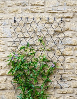 OUTDOOR HONEYCOMB TRELLIS H84CM W62CM