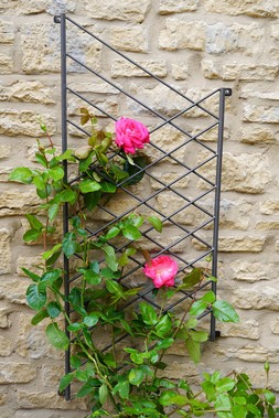 OUTDOOR LINEAR TRELLIS ZINC H100CM W48CM
