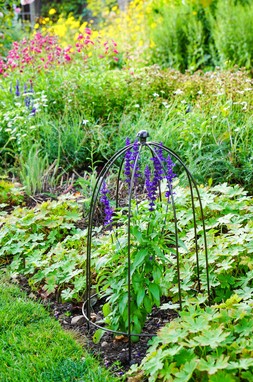 OUTDOOR PLANT SUPPORT ZINC H50CM W26CM