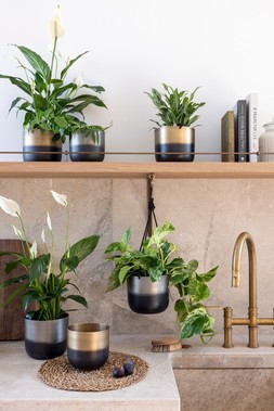 OSCAR TWO TONE SILVER METAL HANGING PLANTER SET OF 2 £28.98. & OSCAR TWO TONE SILVER METAL PLANTER SET OF 2 £28.98. & OSCAR TWO TONE GOLD METAL PLANTER SET OF 2 £28.98