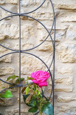 OUTDOOR CYLINDER TRELLIS ZINC &pound;59.99