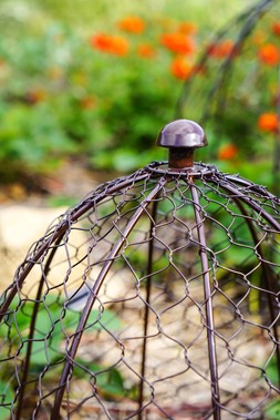 OUTDOOR WIRE NETTED PLANT PROTECTOR BRONZE H48CM W36CM