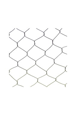 OUTDOOR WIRE NETTED PLANT PROTECTOR BRONZE H55CM W47CM