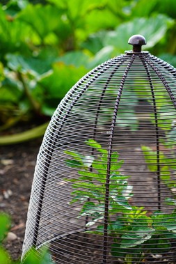OUTDOOR WIRED PLANT PROTECTOR BRONZE H48CM W36CM