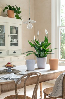 Painswick White Terracotta Pinched Planter H16cm D16cm &pound;17.99