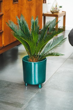 Pisa Emerald Planter H24cm D20cm &pound;39.99 1