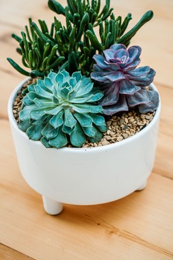 Pisa White Bowl H14cm D19cm &pound;29.99 2