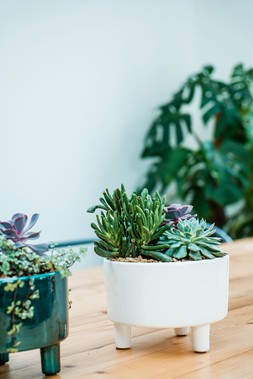 Pisa White Bowl H14cm D19cm &pound;29.99