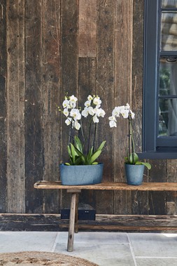 Pula Recycled Trioplanter Sapphire H15cm W16cm D36cm &pound;21.99, Pula Recycled Planter Sapphire H16cm D15cm &pound;11.99