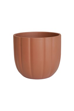 Pumpkin Planter Matte Orange H12cm D14cm £5.99