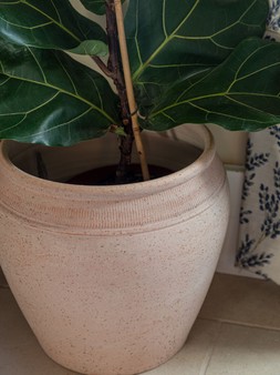 Rhea Terracotta Planter H29cm D27cm &pound;39.99