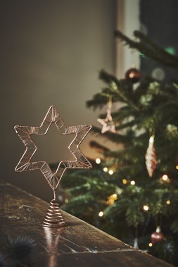 Rigel Star Tree Topper Copper &pound;12.99