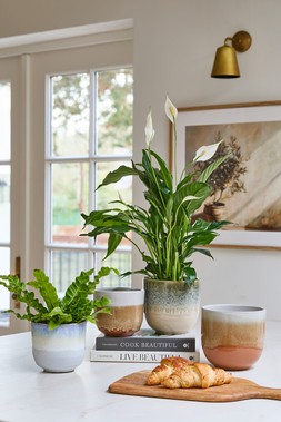 ROWE TWO TONE REACTIVE GLAZE PLANTERS IN BLUE, OLIVE & RUST £13.99 - £18.99