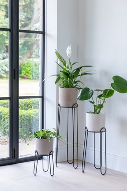 SALUZZO BLACK PLANT STANDS £19.99 -£34.99