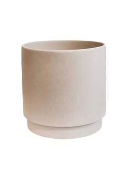 Specimen Planter Blush H27cm D28cm £24.99