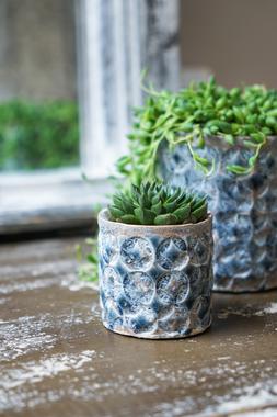 TERNI PLANTER DENIM 7CM &pound;5.99
