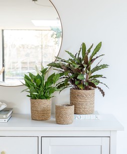 Theo Natural Basket Set Of 3 &pound;20.97
