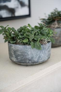 Tivoli Bowl Earth H8cm D16cm &pound;9.99 1