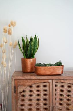 Tivoli Planter Copper Lustre H13cm D14cm &pound;11.99, H15cm D17cm &pound;14.99, H16cm D19cm &pound;17.99